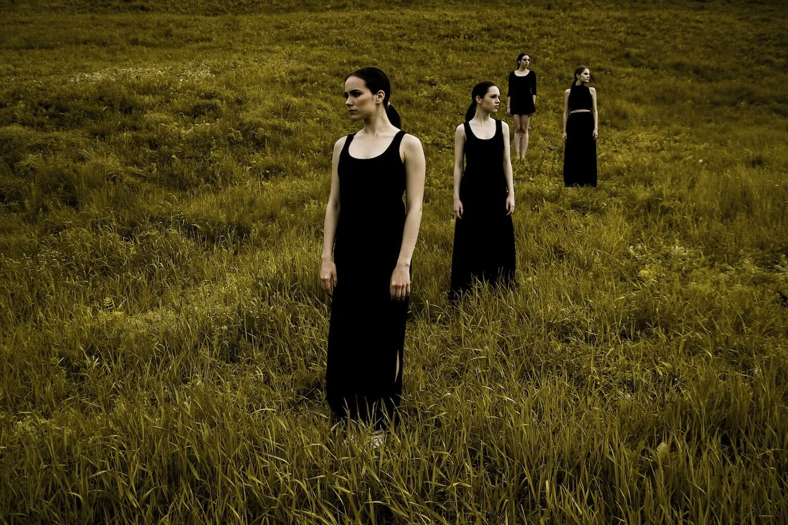 Black on Green preview 1