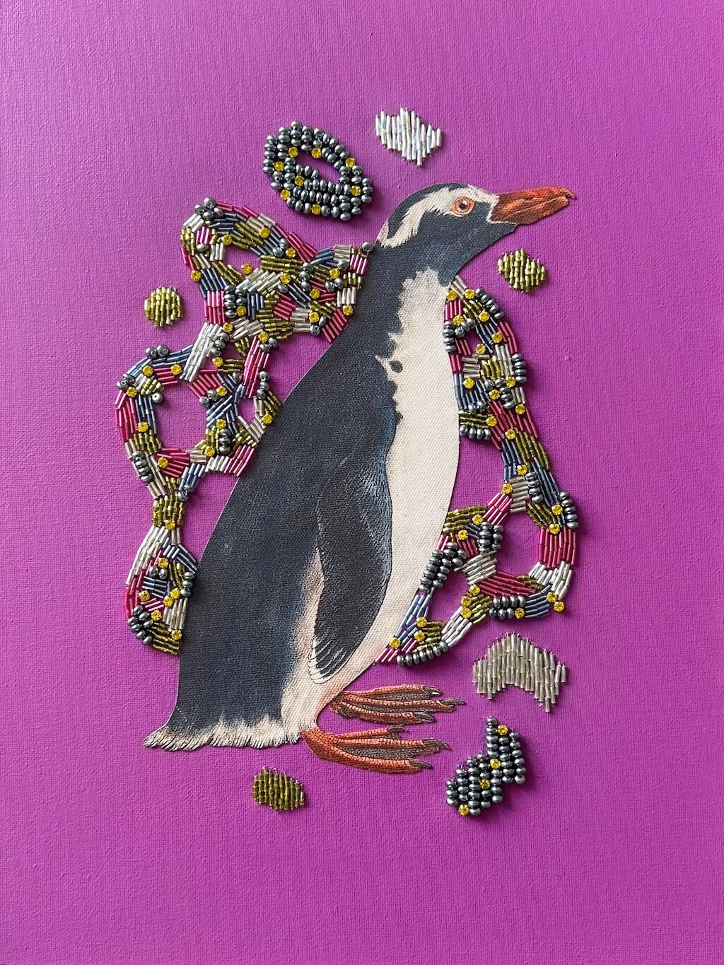 Lilac Penguin